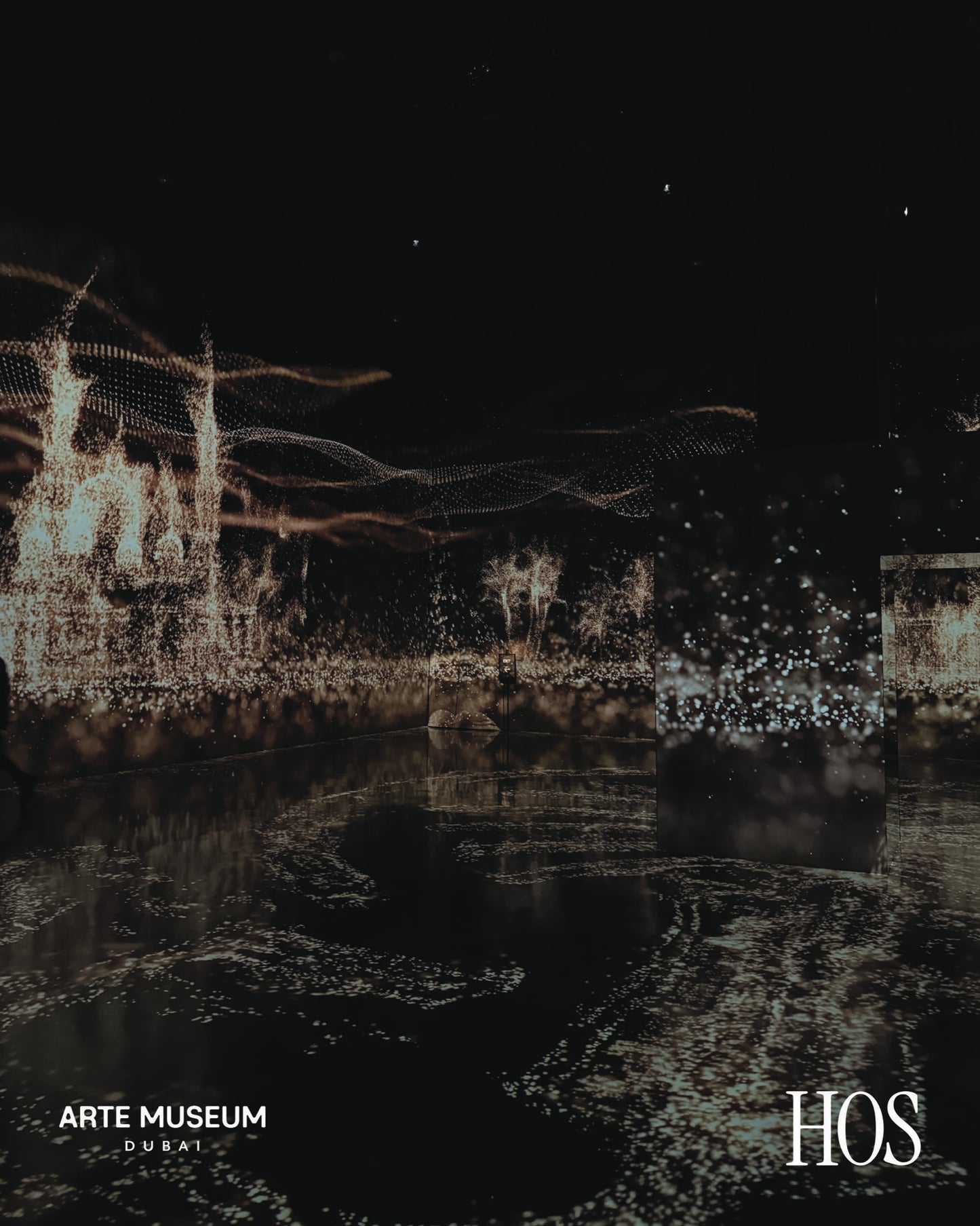 HOS at ARTE MUSEUM DUBAI — July 4